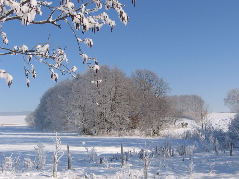 Winter in Lubnik